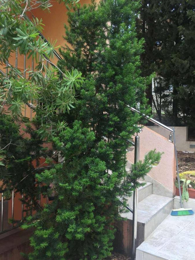 Ruza Vetrova Apartment Bar Bagian luar foto